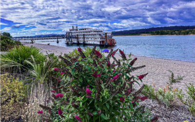 Go with the flow on a River Cruise