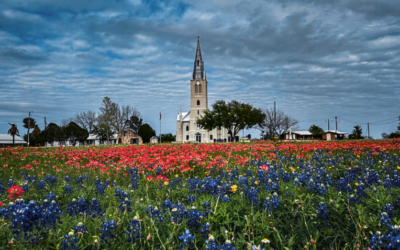 Sunny Side Up:  Exploring Springtime Wonders