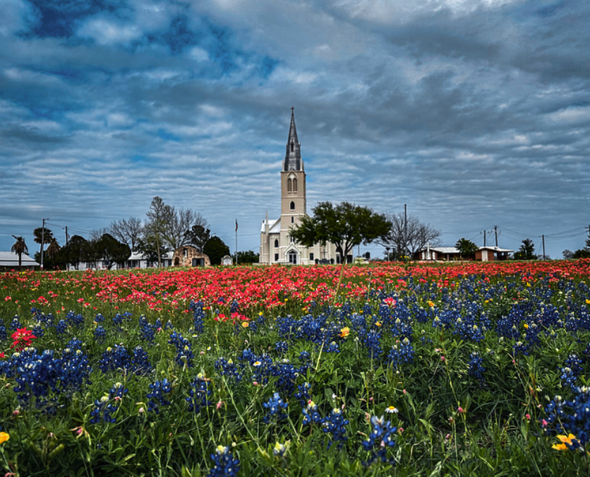 Sunny Side Up:  Exploring Springtime Wonders