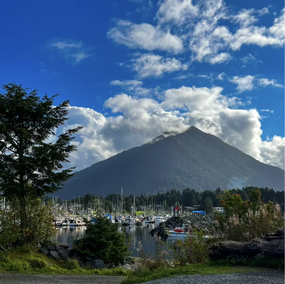 Boats in the Sitka harbor beside a mountain