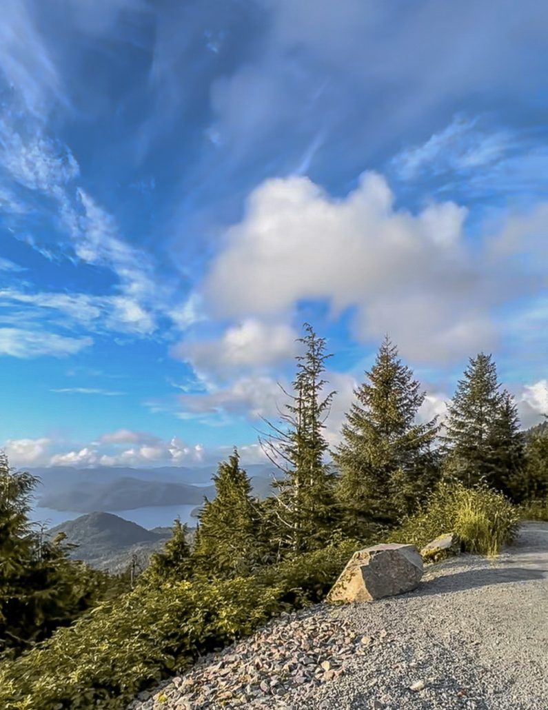 Scenic view of mountains and forest from Harbor Mountain Road, Alaska
